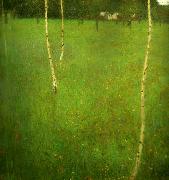Gustav Klimt, bondgard med bjorkar